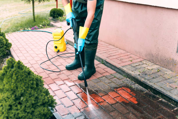 Best Driveway Cleaning and Restoration in Social Circle, GA